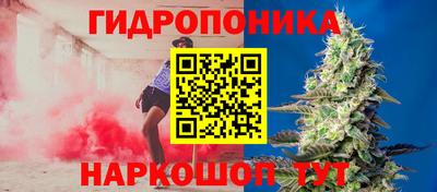 первитин Заводоуковск