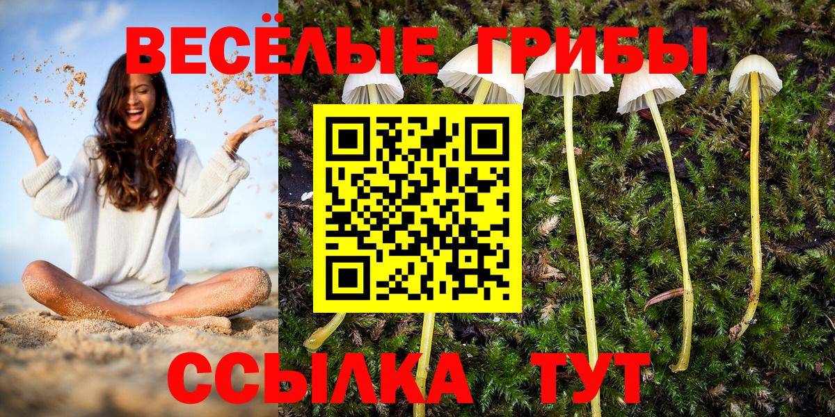 Галлюциногенные грибы MAGIC MUSHROOMS Ялуторовск