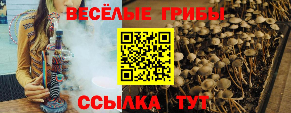 Ялуторовск  купить  цена  Вход с VPN  Псилоцибиновые грибы Magic Shrooms 