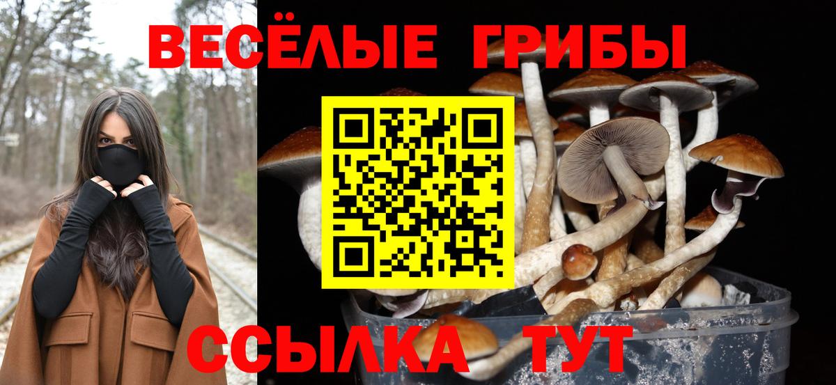 ГАШ  Вход с VPN  Меф   Ялуторовск  ГАШ  Бошки Шишки 